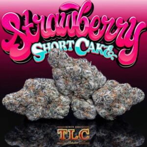 Strawberry Shortcake Jungleboys