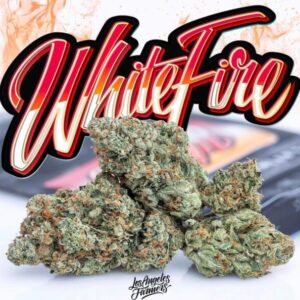 White fire Jungleboys